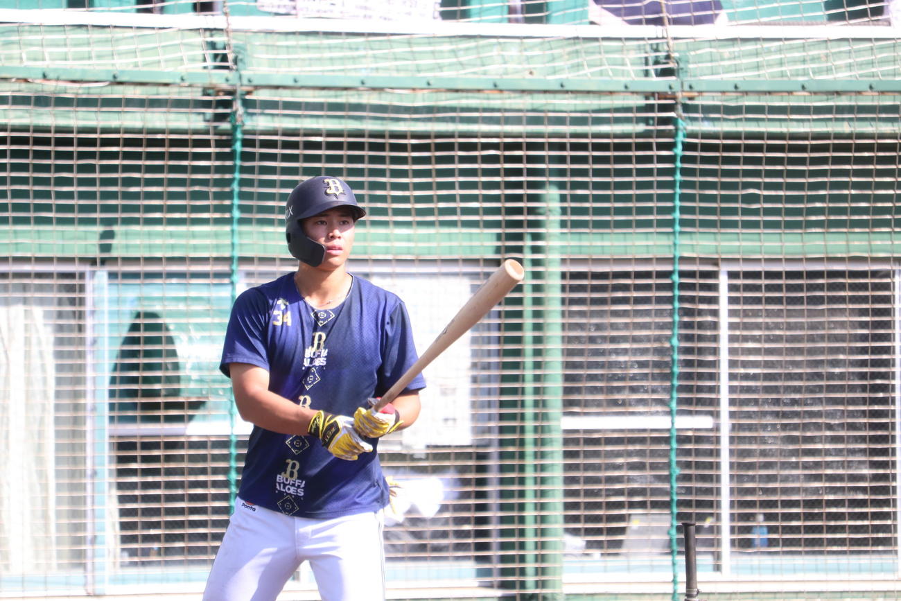 打撃練習を行うオリックス横山聖