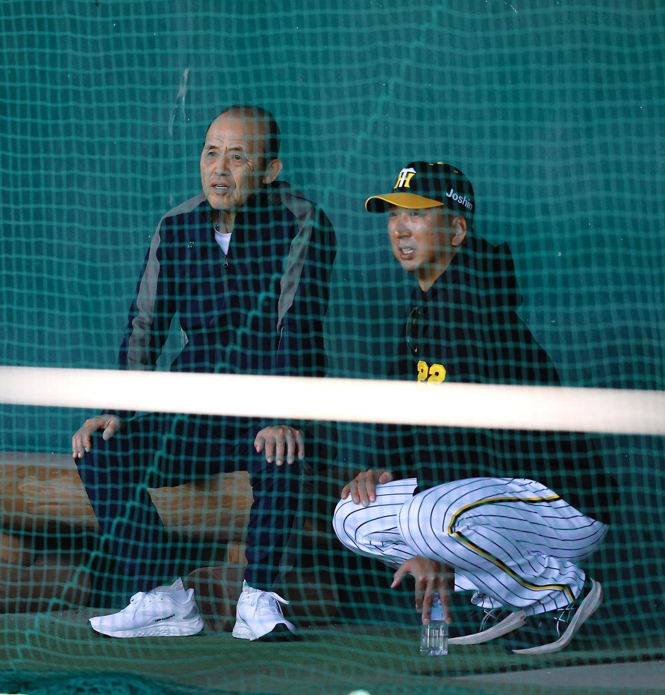 ブルペンで投球練習を見つめる岡田オーナー付顧問（左）と藤川監督（撮影・藤尾明華）