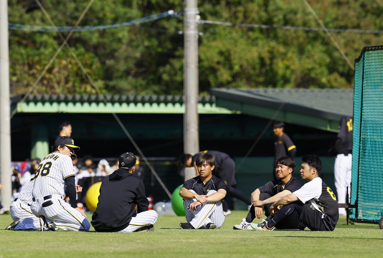 藤川球児監督（右から4人目）と話しをする、今クールで秋季キャンプを打ち上げる右から阪神石井、村上、桐敷（撮影・藤尾明華）