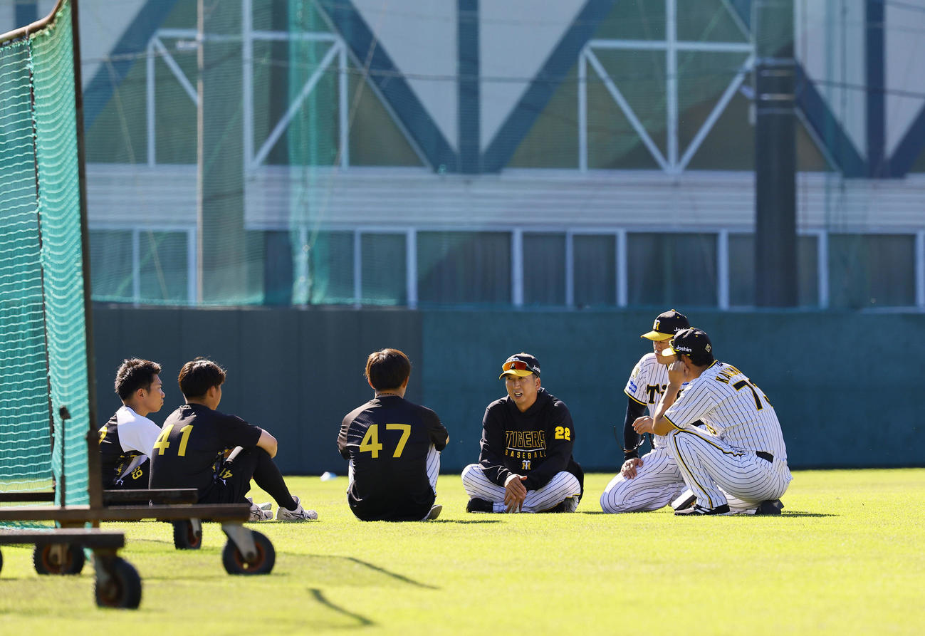 今クールで秋季キャンプを打ち上げる左から石井、村上、桐敷と話しをする阪神藤川監督（撮影・藤尾明華）