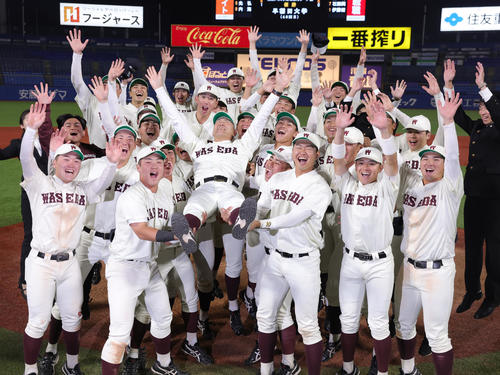 明大対早大　優勝し胴上げされる早大・小宮山監督（撮影・野上伸悟）