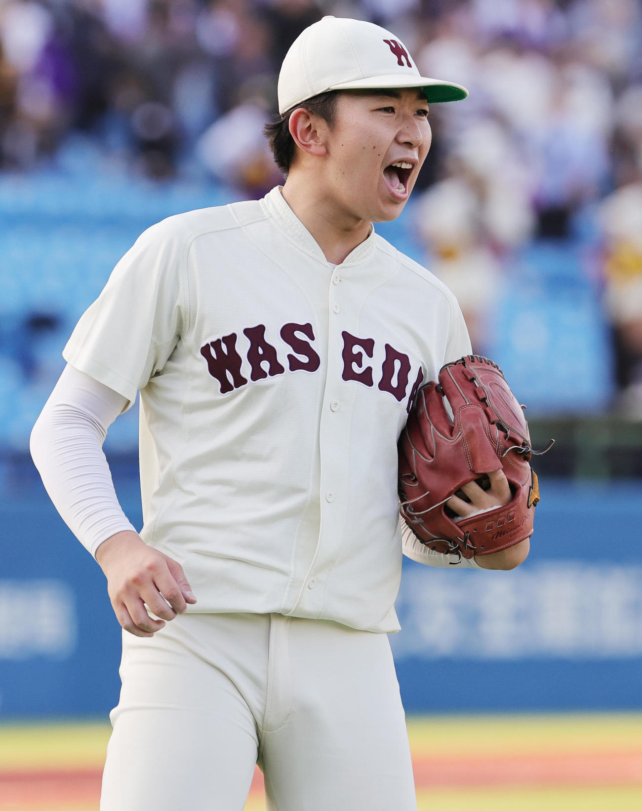 明大対早大　6回表を抑えほえる早大・伊藤樹（撮影・野上伸悟）
