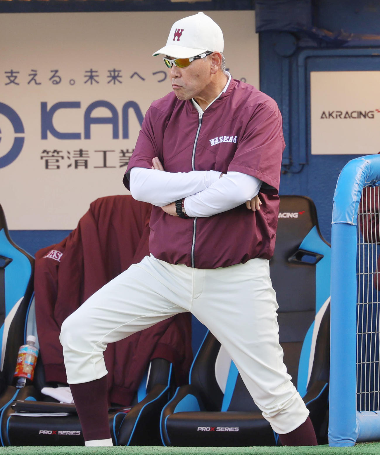 明大対早大　試合を見つめる早大・小宮山監督（撮影・野上伸悟）