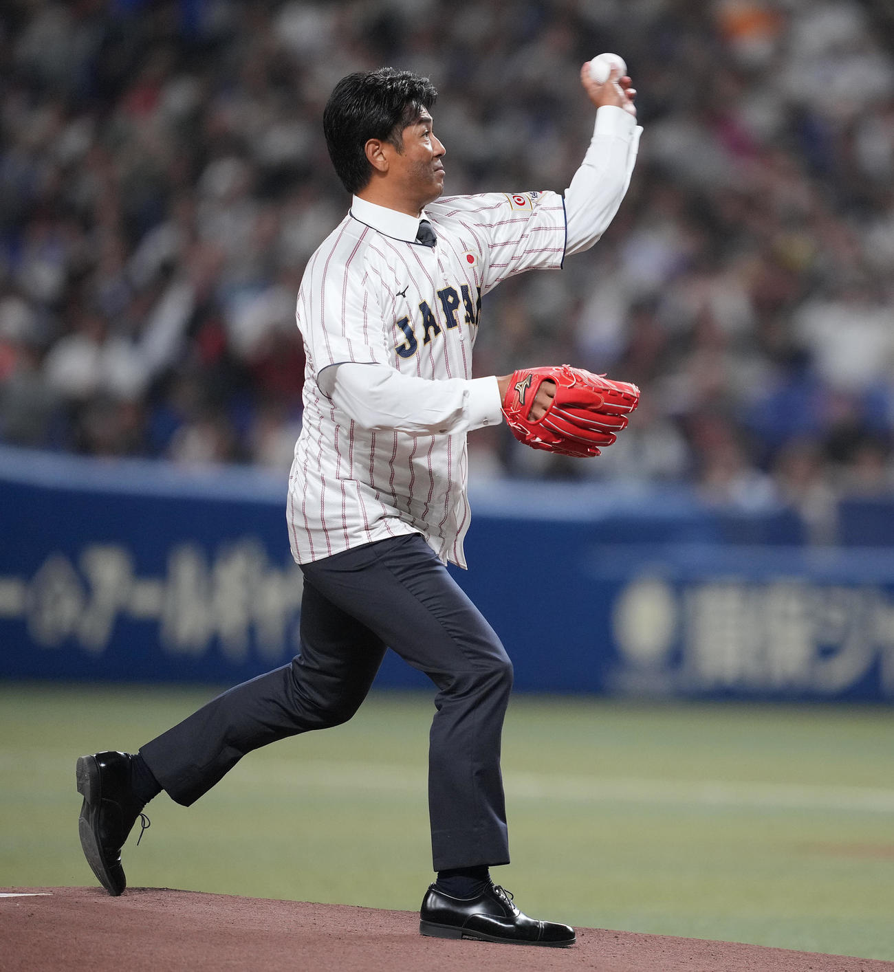 日本対オーストラリア　試合前、始球式を行う稲葉氏（撮影・垰建太）