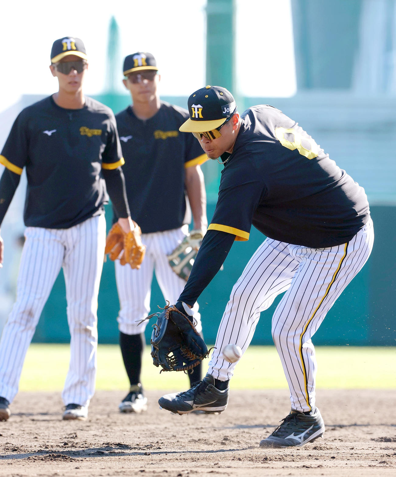 ノックを受ける阪神佐藤輝（撮影・上山淳一）