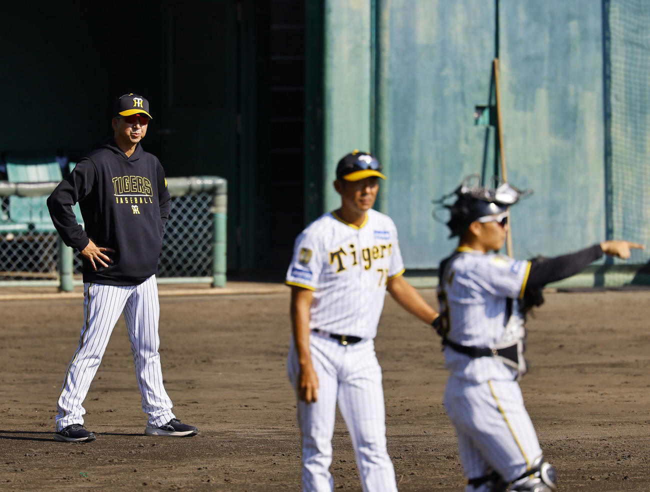 サインプレーを見つめる阪神藤川監督（撮影・藤尾明華）