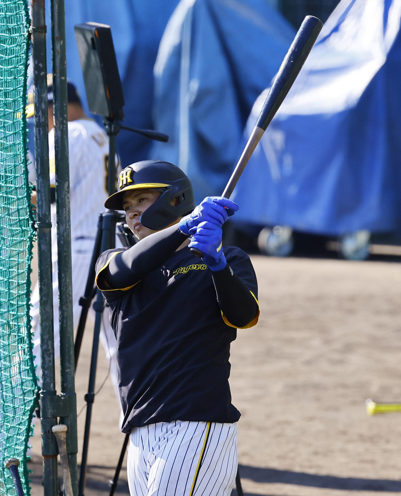打撃練習で佐藤輝のバットを手にする阪神井上（撮影・藤尾明華）