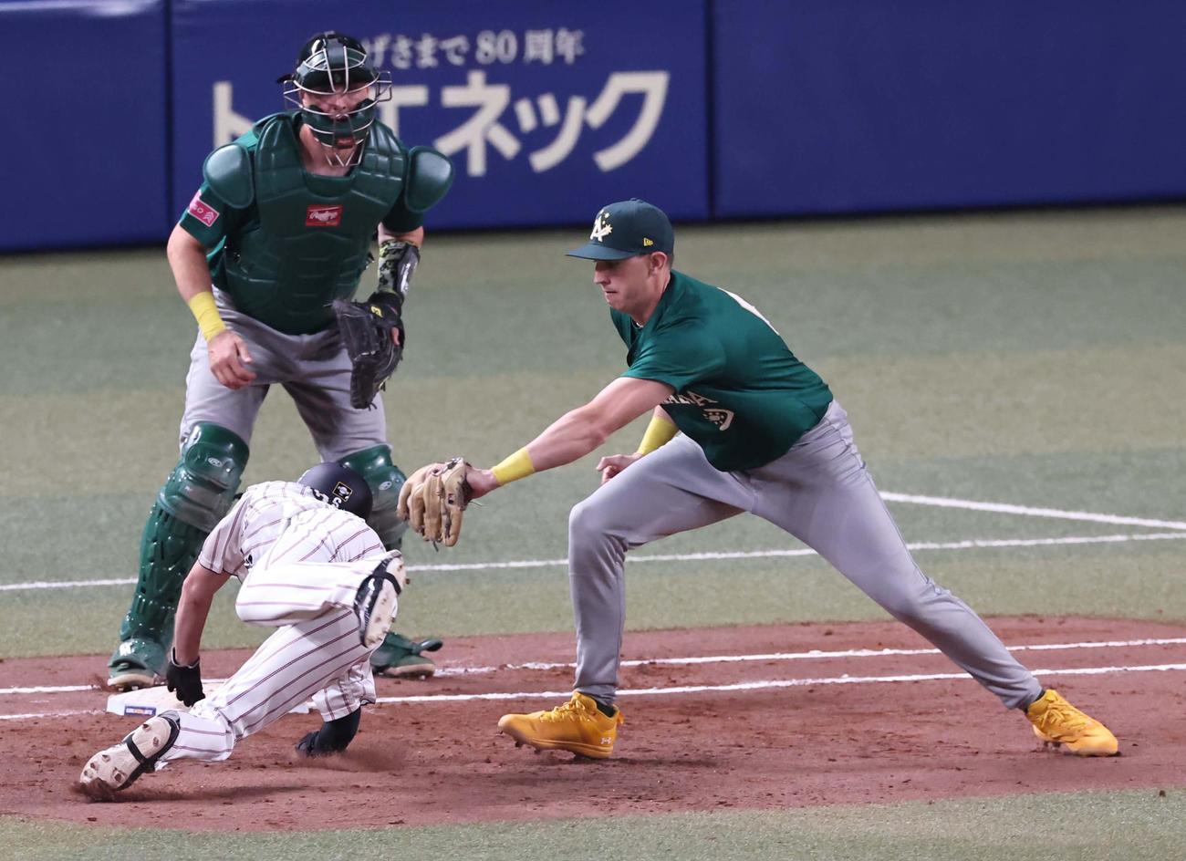 日本対オーストラリア　7回裏日本1死一塁、代走源田（左）は一、二塁間に挟まれるも一塁へ帰塁する（撮影・上田博志）