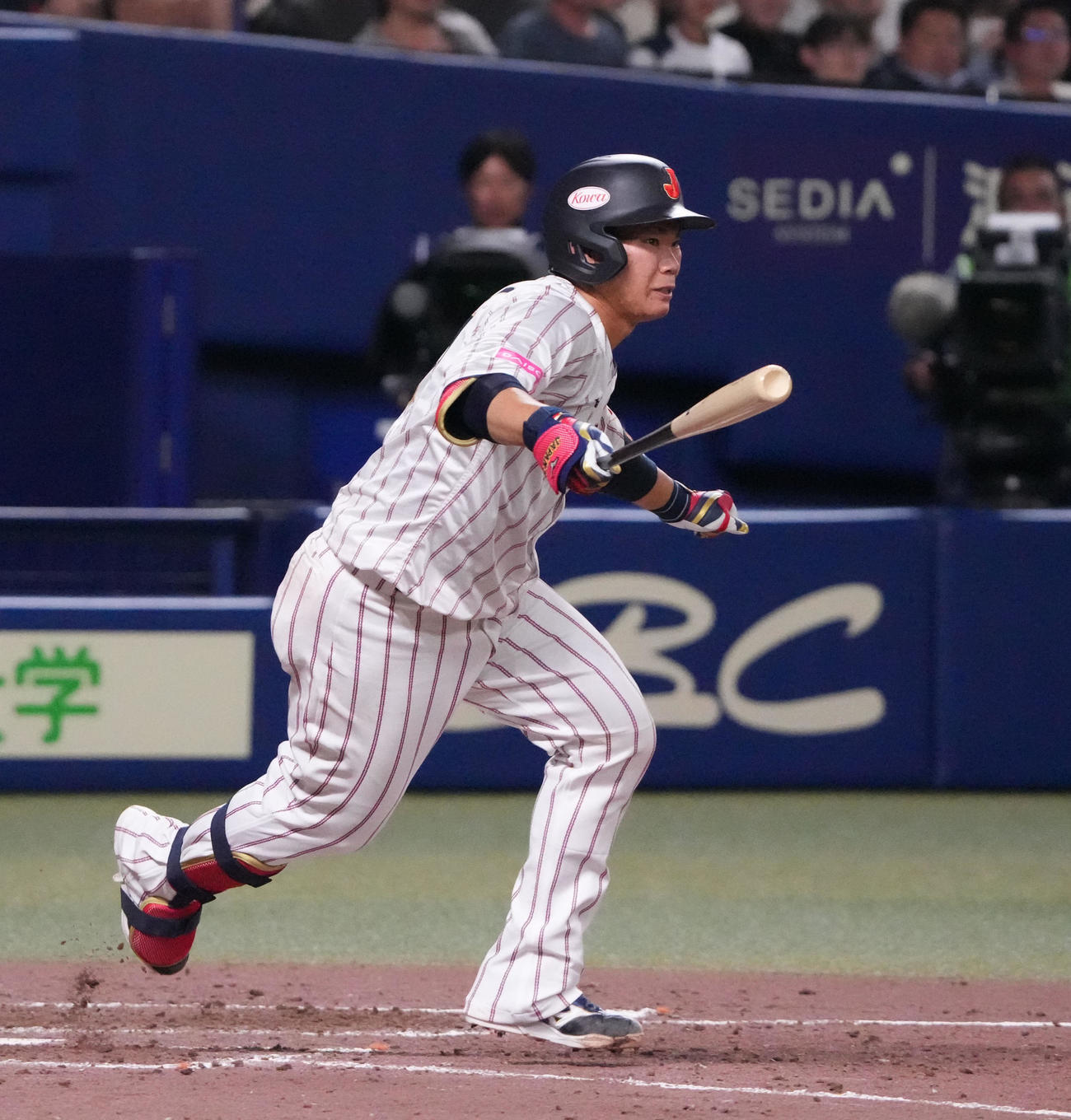 日本対オーストラリア　4回裏日本無死一塁、右前打を放つ坂倉（撮影・森本幸一）