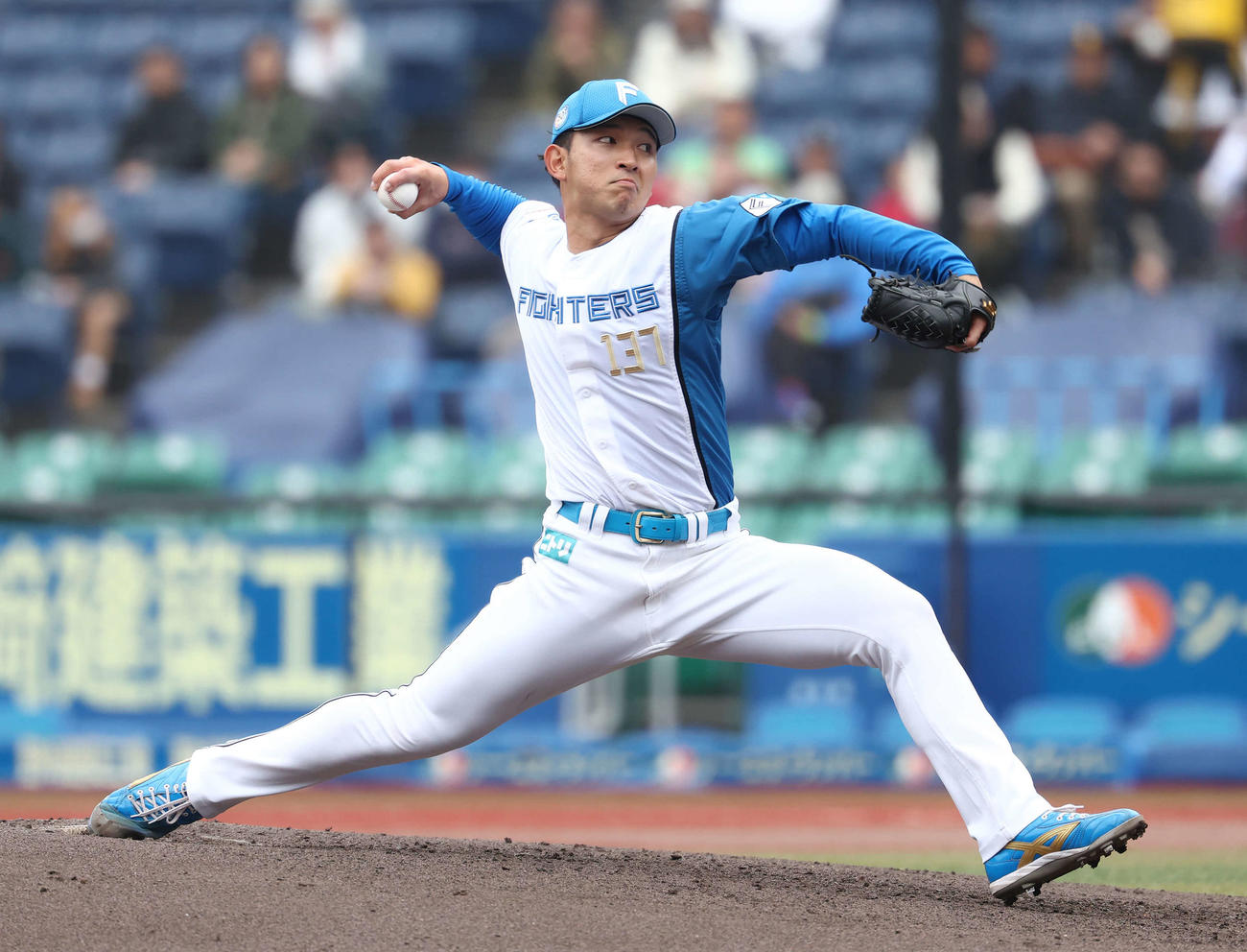 トライアウトで力投する日本ハム柿木（撮影・河田真司）