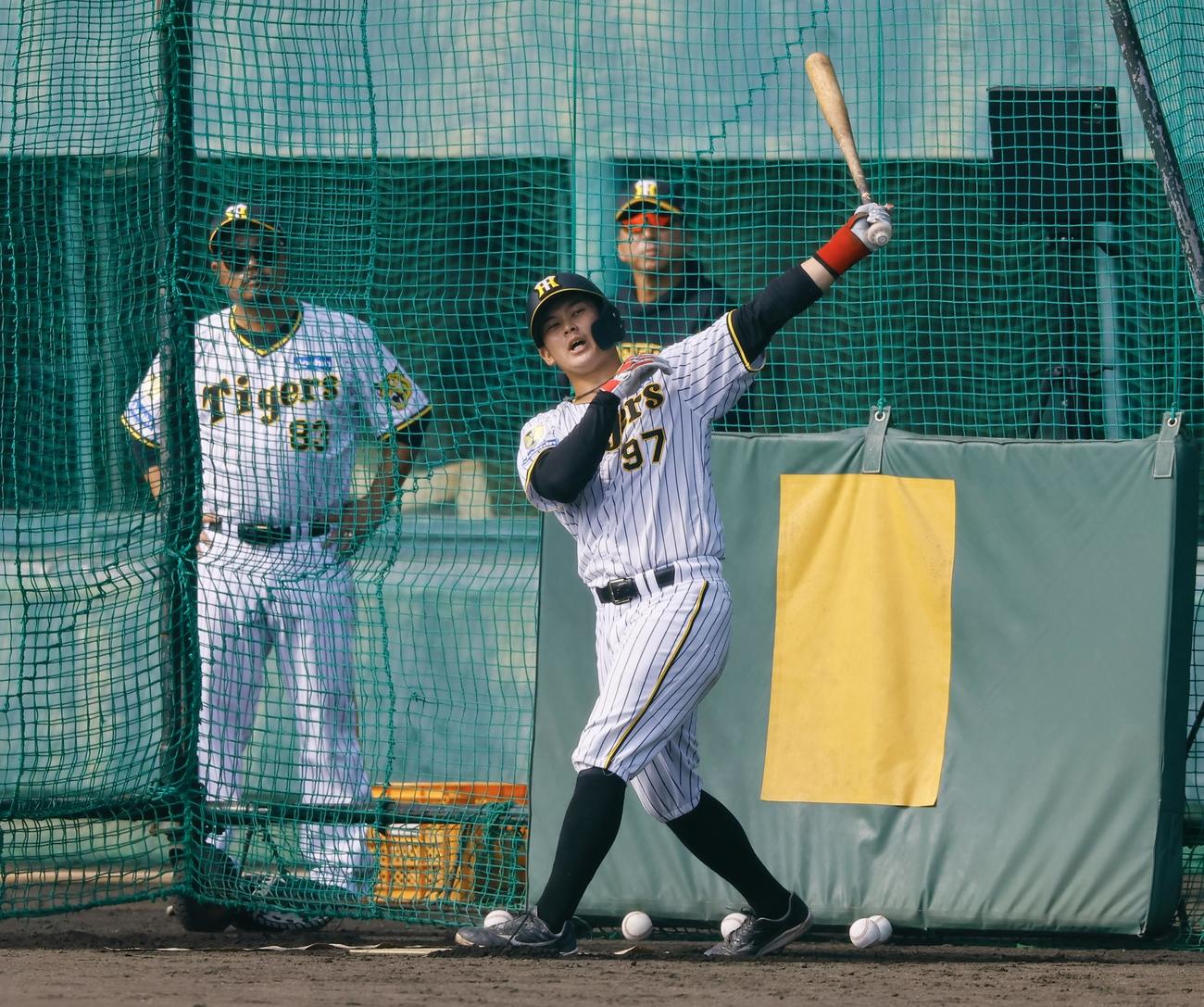 藤川球児監督が見つめる中、ランチ特打で快音を響かせる野口（撮影・藤尾明華）