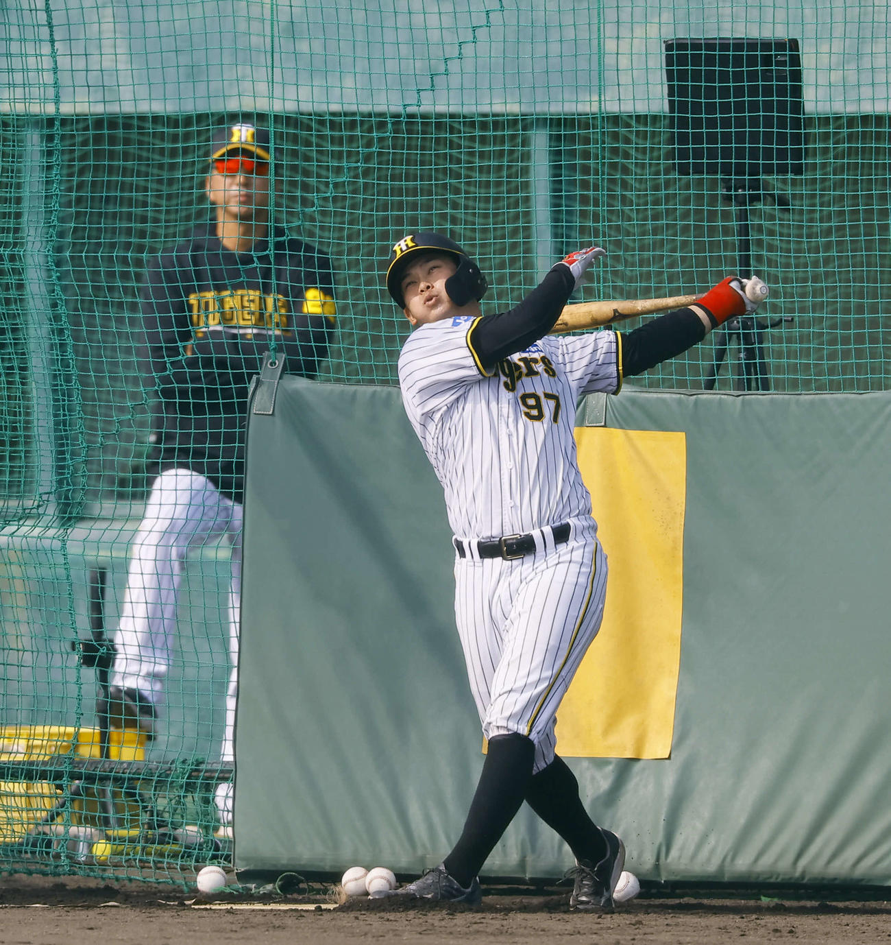 藤川監督が見つめる中、ランチ特打で快音を響かせる野口（撮影・藤尾明華）