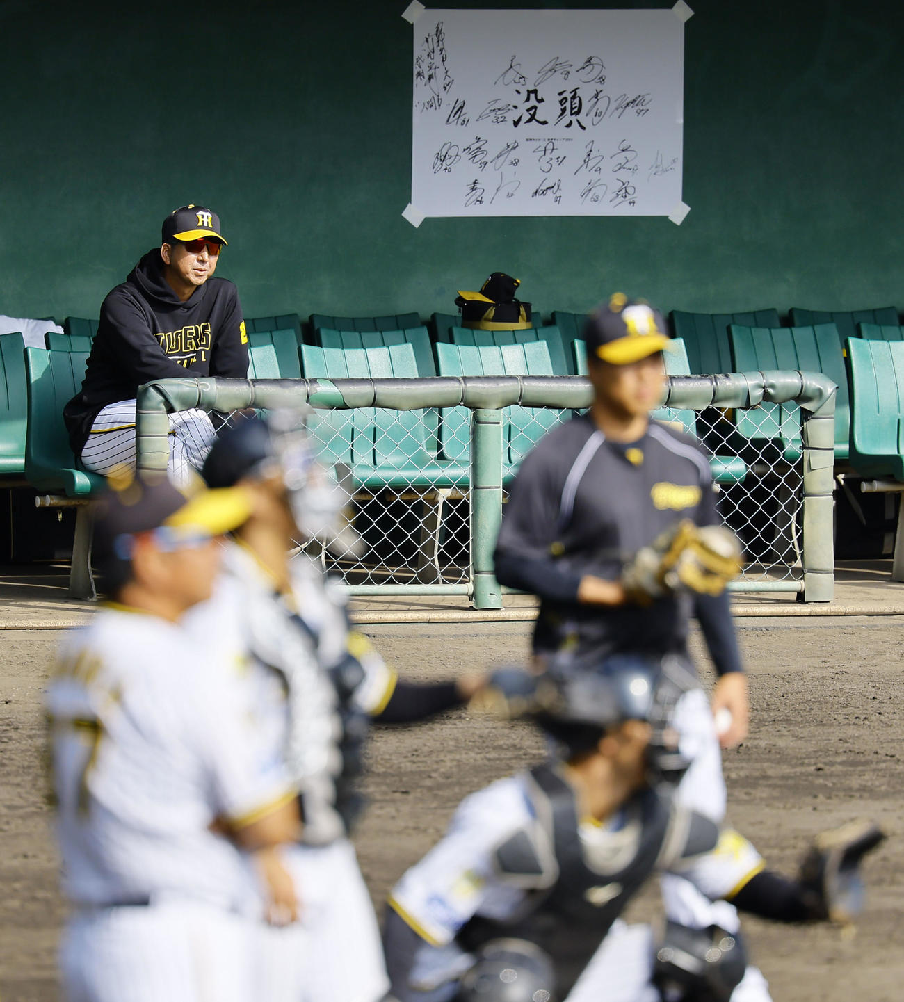 シートノックを見つめる阪神藤川監督（奥）（撮影・藤尾明華）