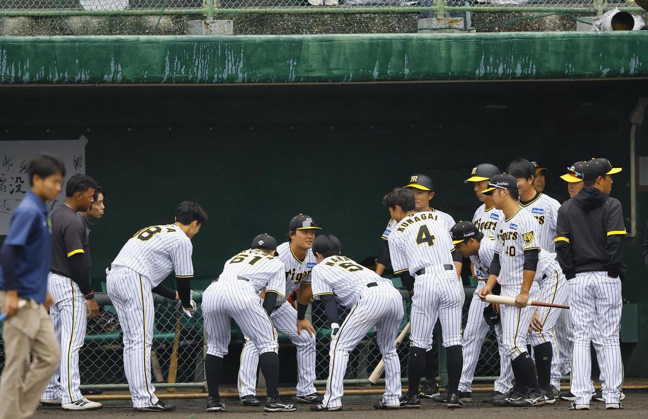 紅白戦を前い円陣で声だしをする白組前川（撮影・藤尾明華）