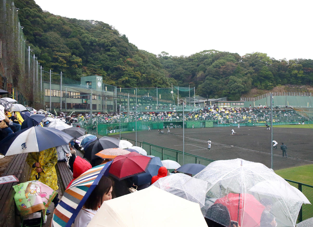 雨となった紅白戦に大勢のファンが観戦に訪れた（撮影・上山淳一）