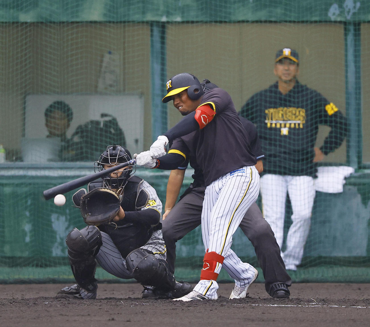 紅白戦　2回裏白組1死、アルナエスは中前打を放つ。奥は阪神藤川監督（撮影・藤尾明華）