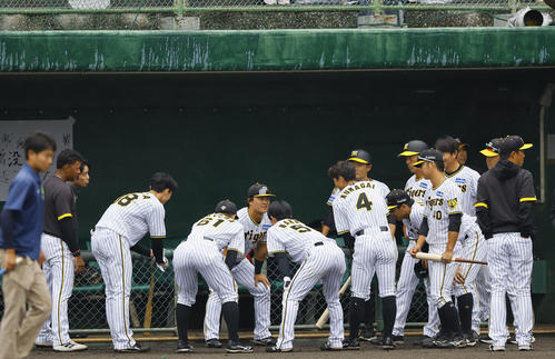 紅白戦を前い円陣で声だしをする白組前川（撮影・藤尾明華）