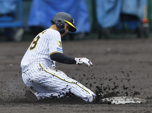 紅白戦　5回裏白組無死一塁、小幡が二盗を決める（撮影・藤尾明華）