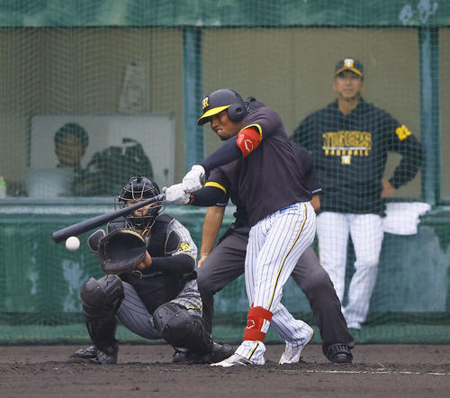 紅白戦　2回裏白組1死、アルナエスは中前打を放つ。奥は阪神藤川監督（撮影・藤尾明華）