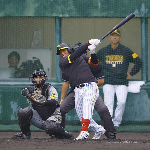 紅白戦　2回裏白組1死、アルナエスは中前打を放つ。奥は阪神藤川監督（撮影・藤尾明華）