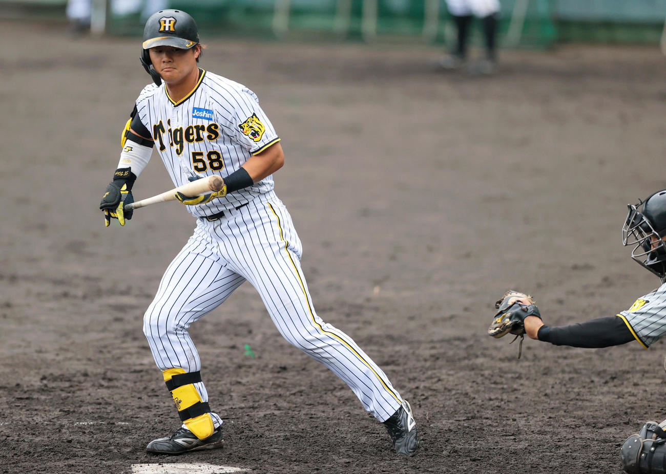 紅白戦　5回裏白組1死二塁、前川は四球を選ぶ（撮影・上山淳一）