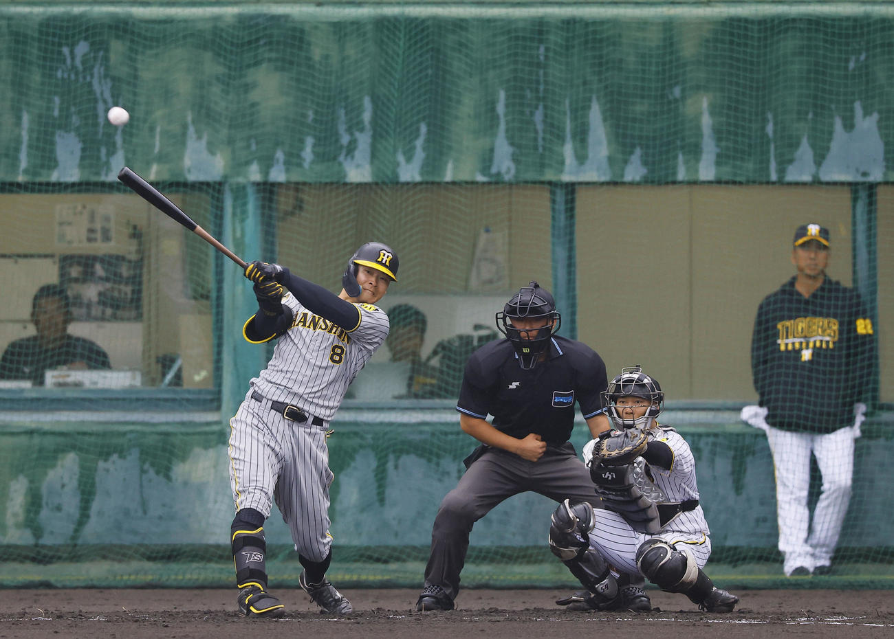 紅白戦　1回表紅組2死、佐藤輝は中前打を放つ。奥右は藤川監督（撮影・藤尾明華）
