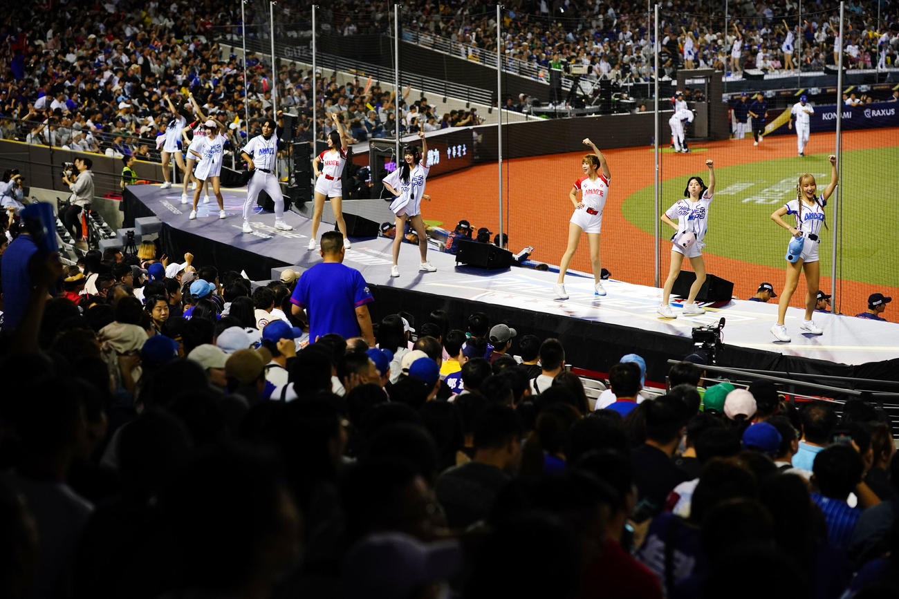 日本対台湾　会場を盛り上げる台湾チアガール（撮影・横山健太）