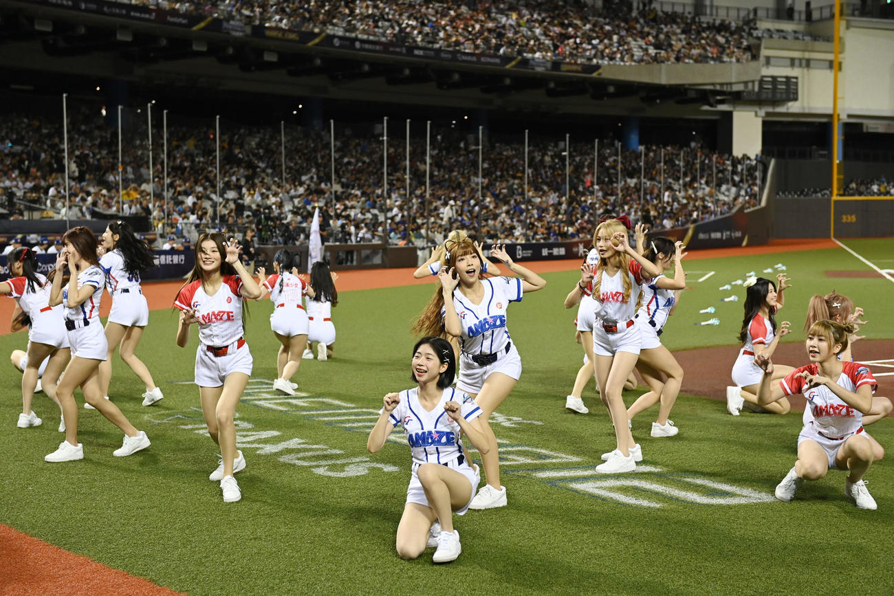 日本対台湾　会場を盛り上げる台湾チアガール（撮影・横山健太）