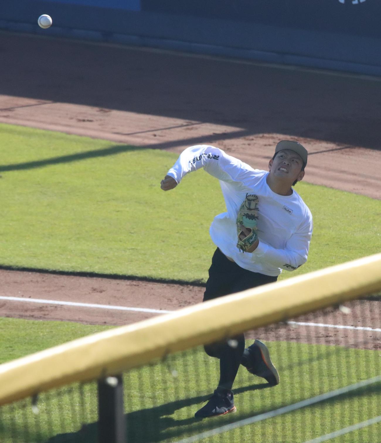 気合のこもった表情で遠投する日本ハム野村（撮影・永野高輔）