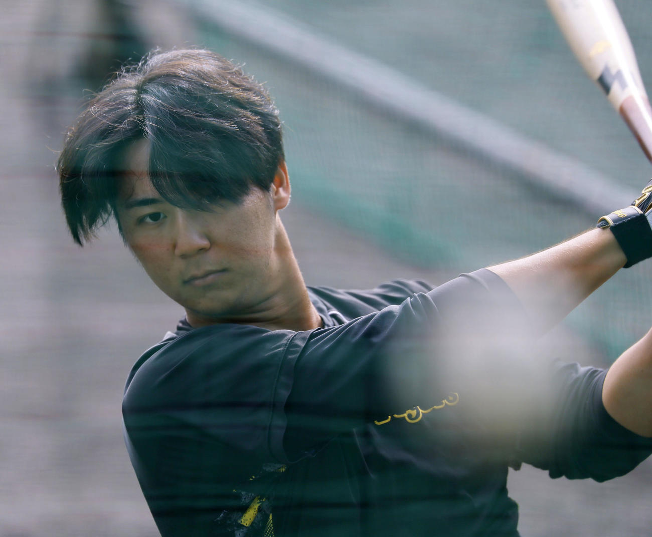 打撃練習をする阪神井坪（撮影・藤尾明華）