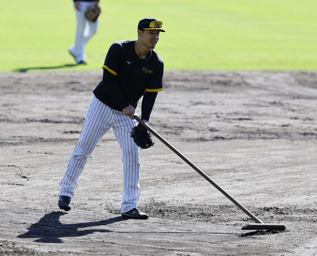 ノックを終え、整備をする阪神佐藤輝（撮影・藤尾明華）