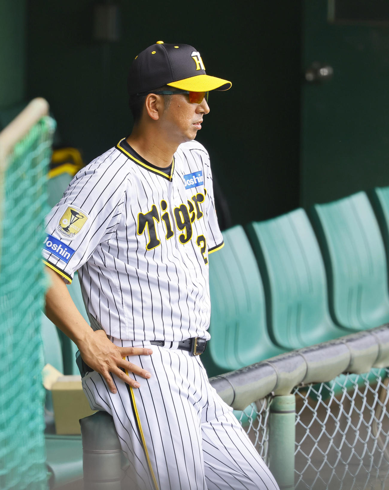 秋季キャンプ最後のシートノックを見つめる藤川監督（撮影・藤尾明華）