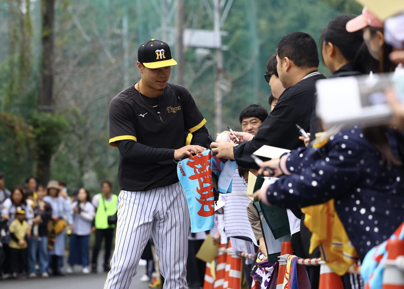 秋季キャンプ最終日、ファンにサインをしながらメイン球場に向かう阪神佐藤輝（撮影・藤尾明華）