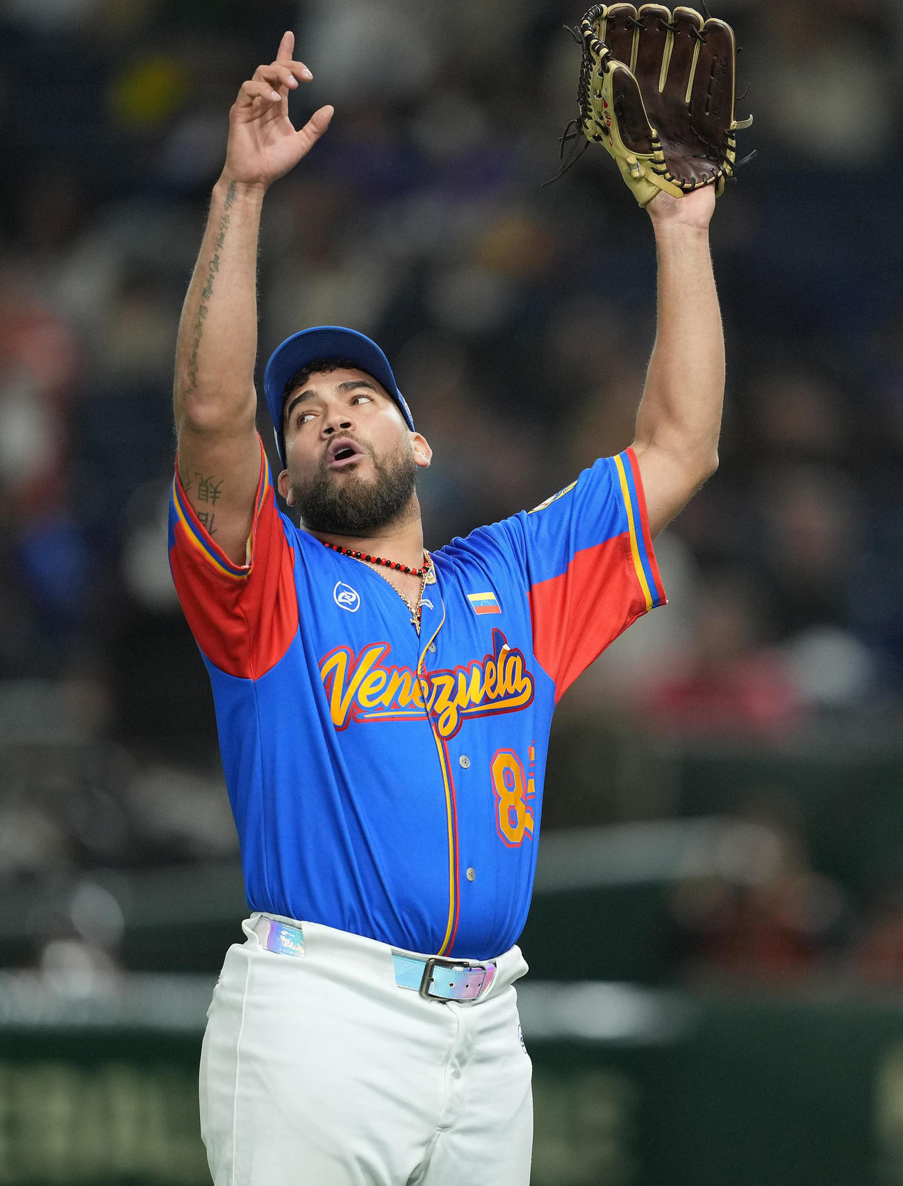 ベネズエラ対台湾　5回表台湾2死満塁、無失点でしのいだガルシアは天をあおぐ（撮影・垰建太）