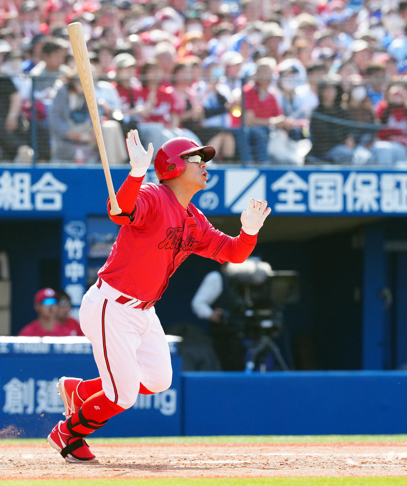 広島田中広輔（2024年3月撮影）