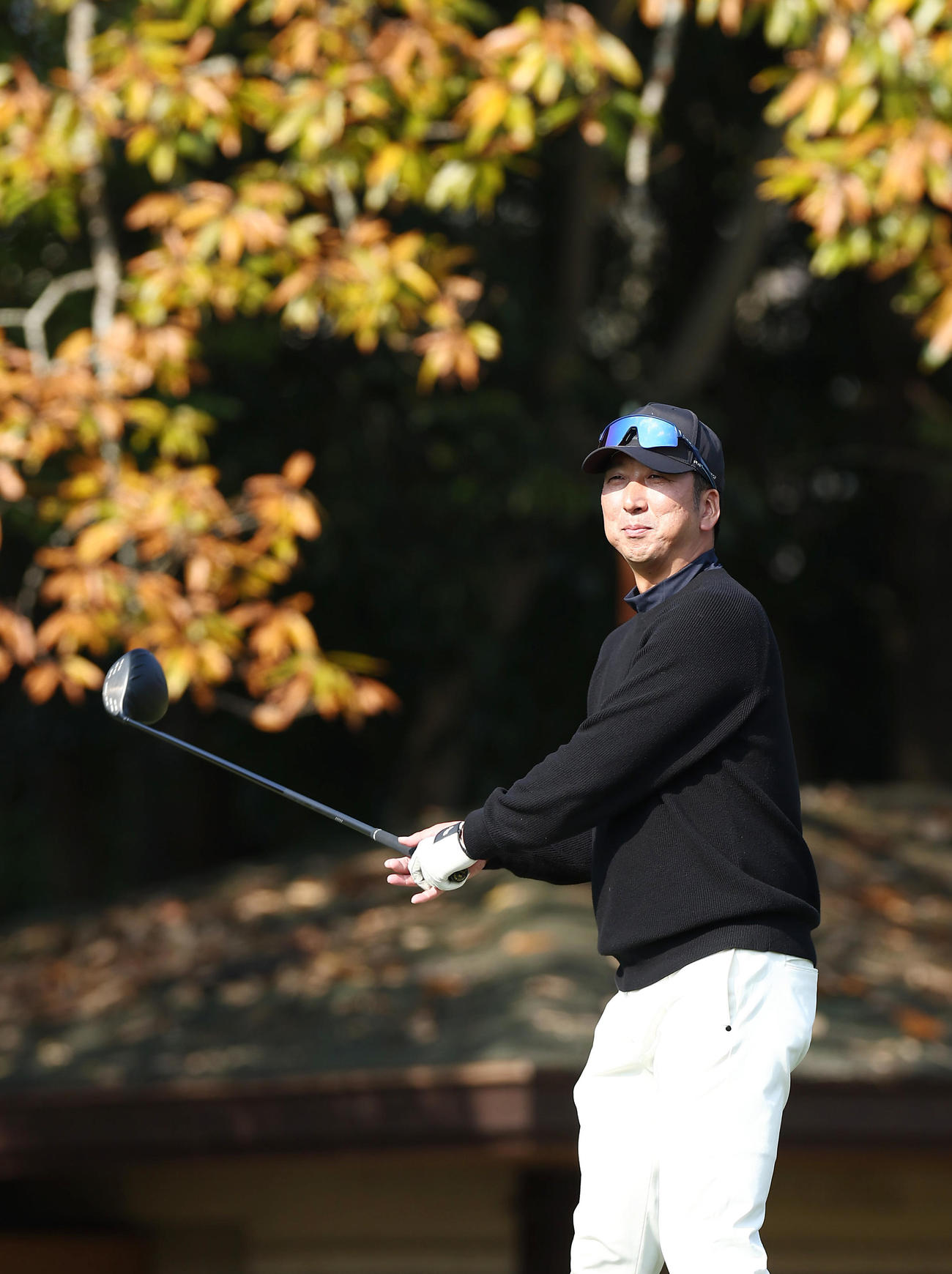 紅葉をバックにティーショットに臨む阪神藤川監督（撮影・前田充）