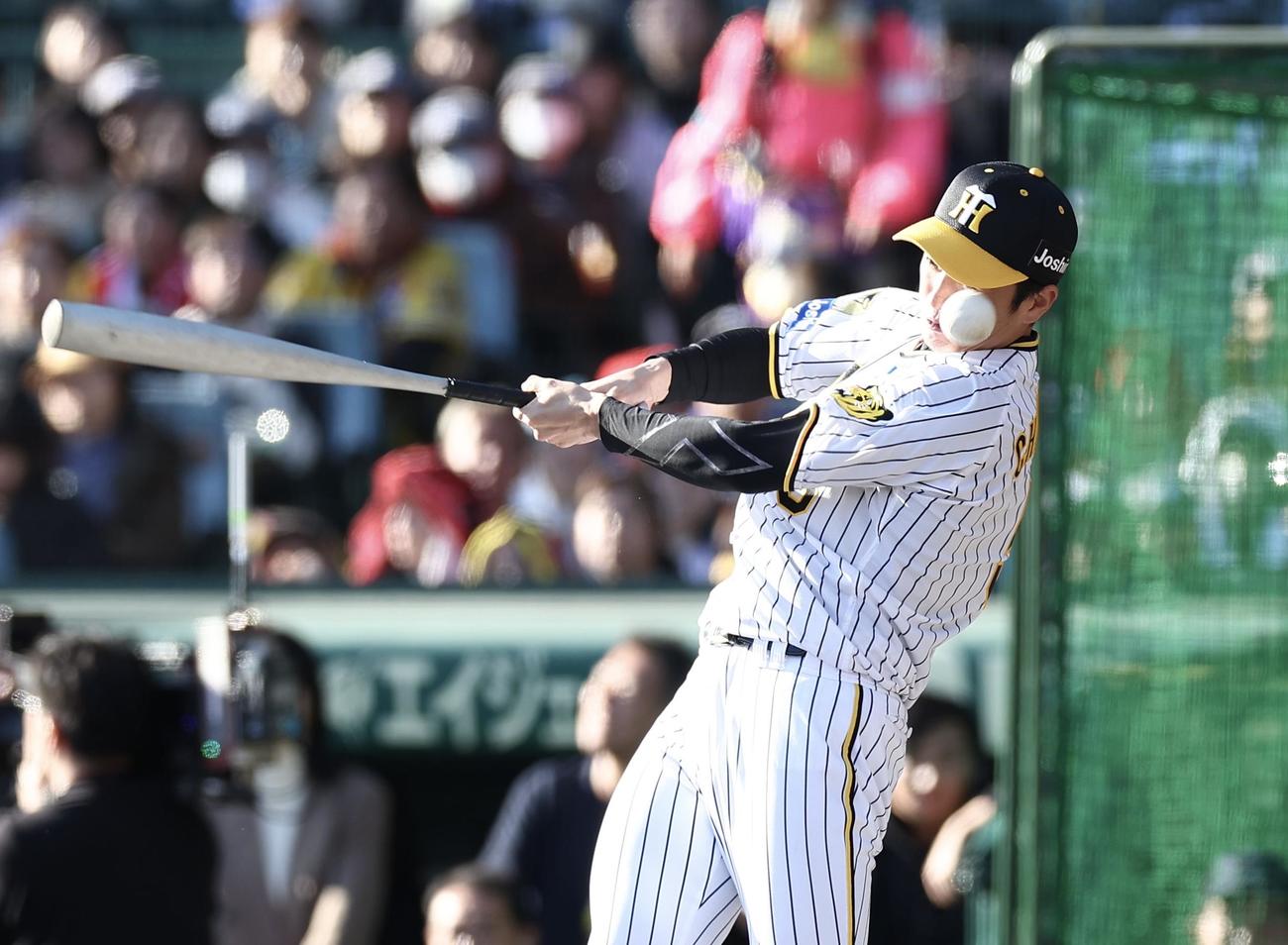 相席食堂オールスターとの野球対決で自打球を当てる阪神近本（撮影・前田充）