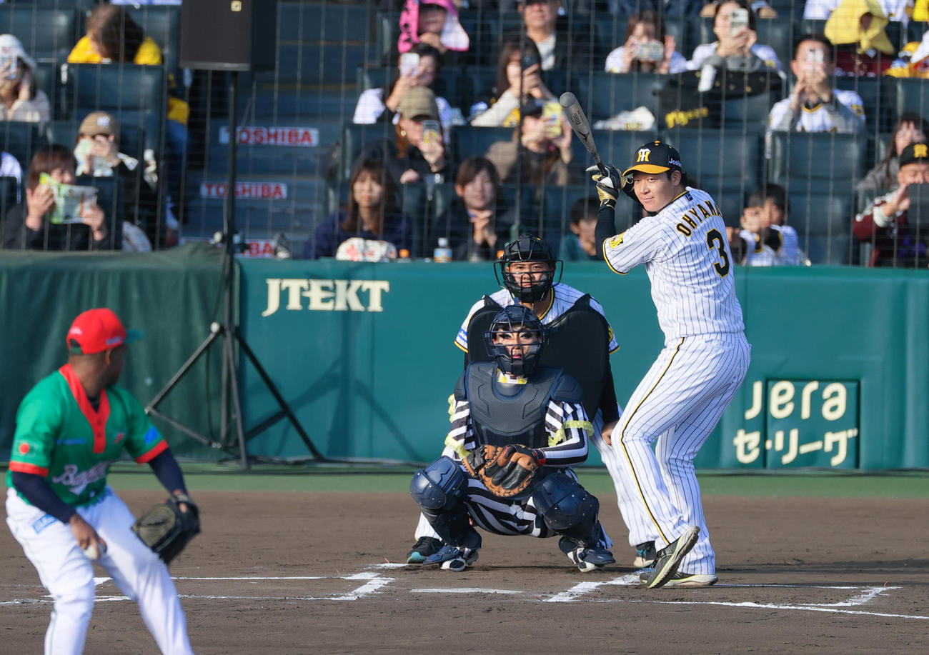 阪神ファン感謝デーで打席に立つ阪神大山（撮影・上山淳一）