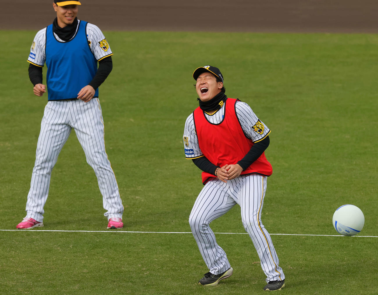 阪神ファン感謝デーのドッジボールを楽しむ大山。左は佐藤輝（撮影・上山淳一）