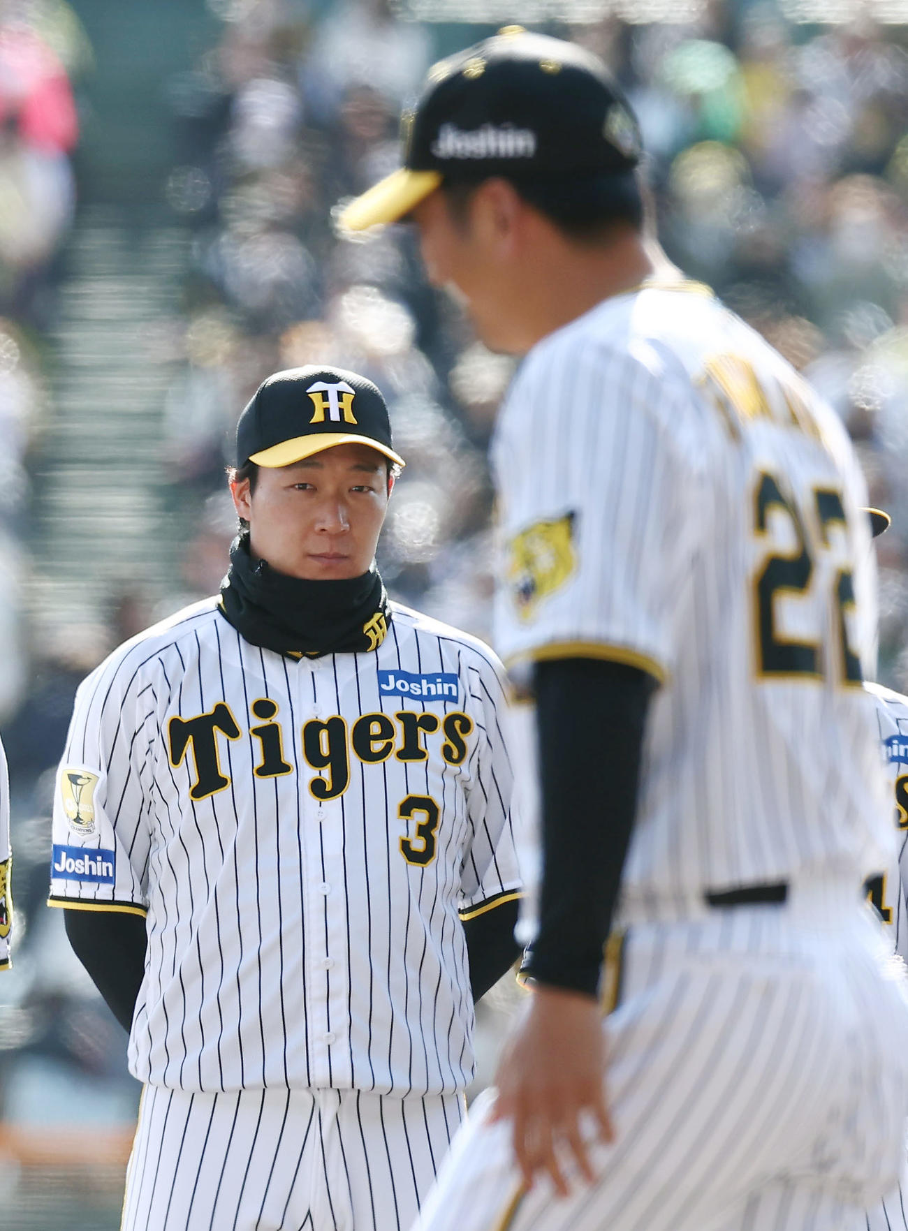 オープニングで入場する阪神藤川監督（右）を見つめる大山（撮影・前田充）