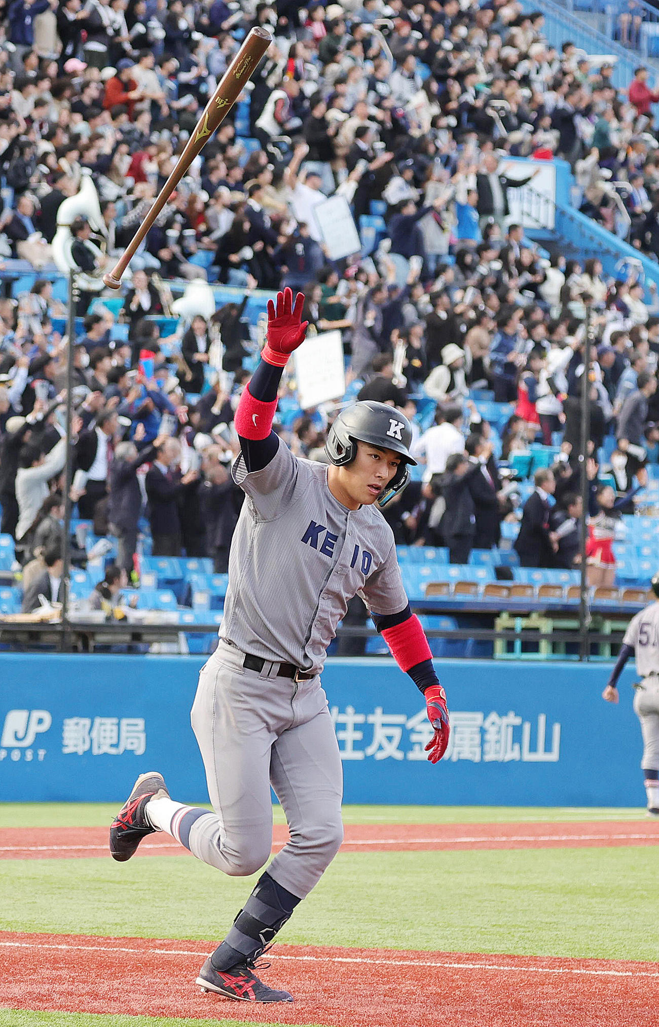 2024年11月9日、早大対慶大　6回裏慶大1死、左越え本塁打を放つ清原
