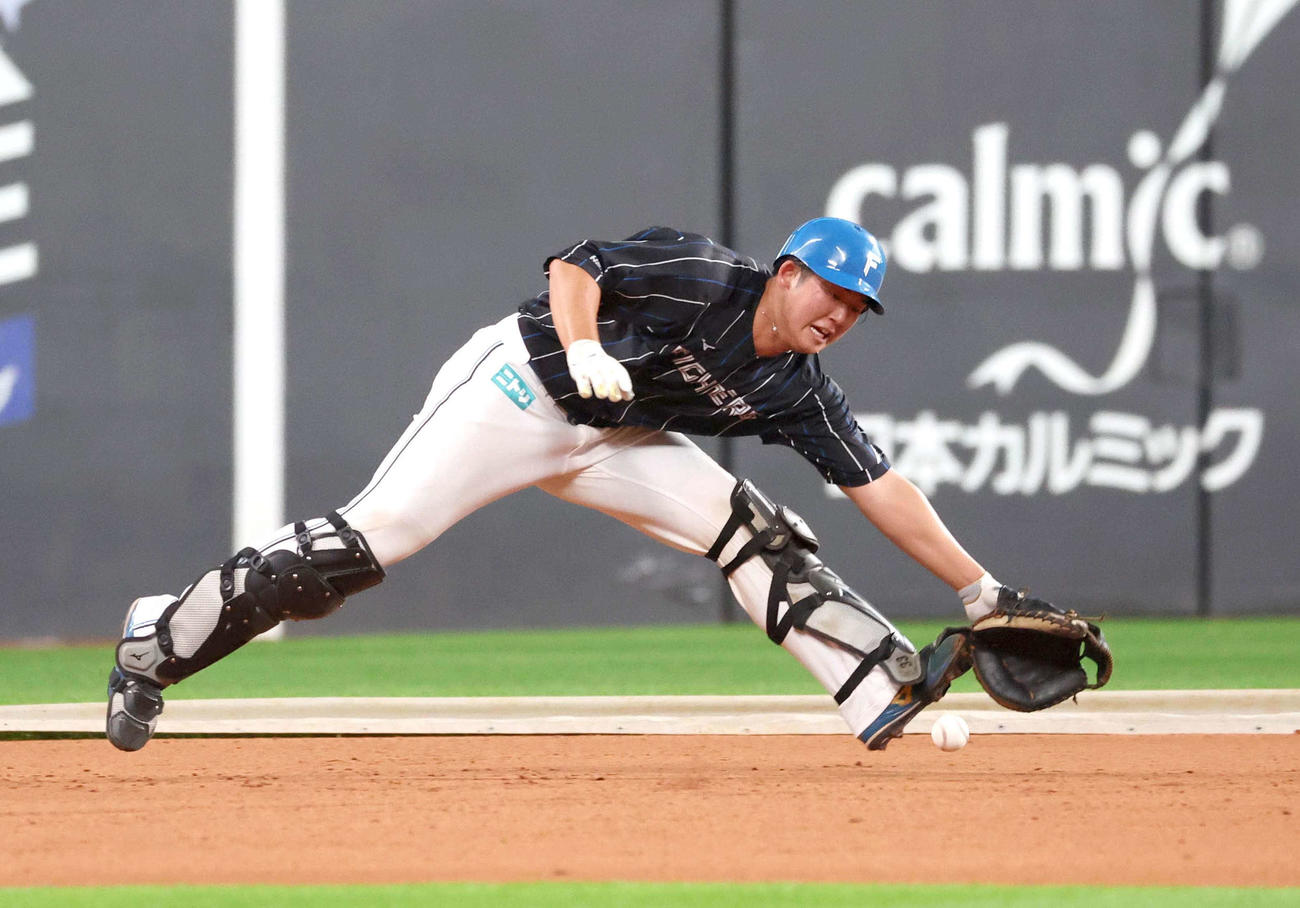 秋季キャンプで居残りノックを受ける日本ハム進藤（2024年11月1日撮影）