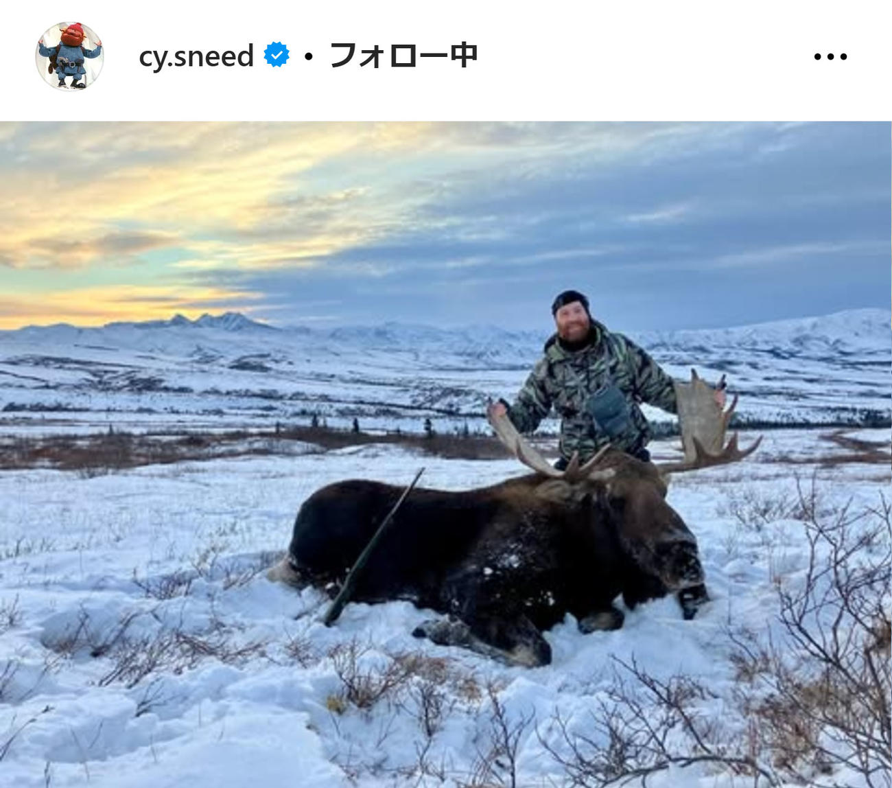 サイスニードのインスタグラムから
