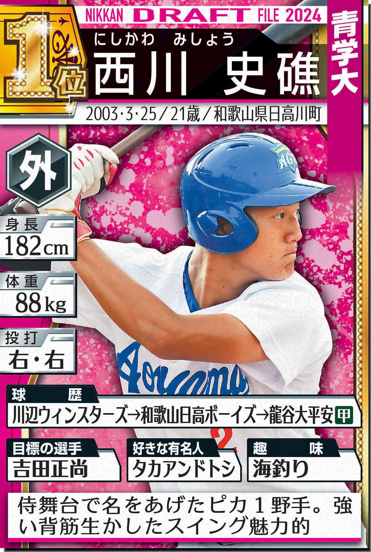 ドラフトファイル：西川史礁