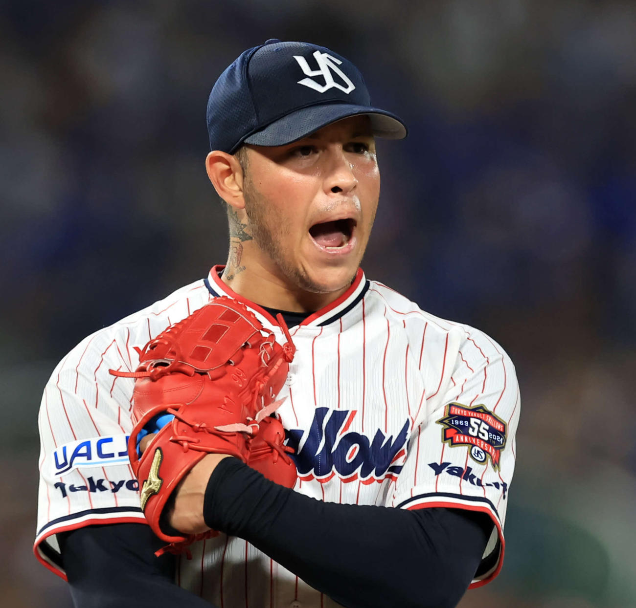 ヤフーレ（2024年7月撮影）
