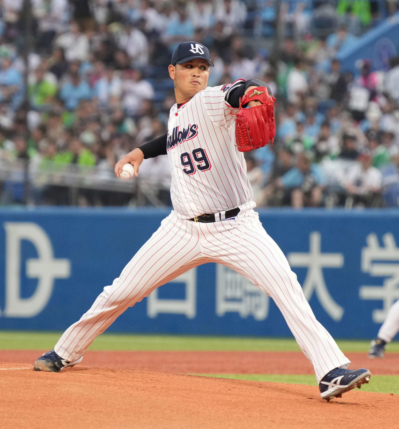 ヤフーレ（2024年7月撮影）