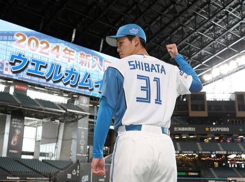 日本ハムファイターズ 柴田獅子 #31 直筆サインボール 大会試合球 日本