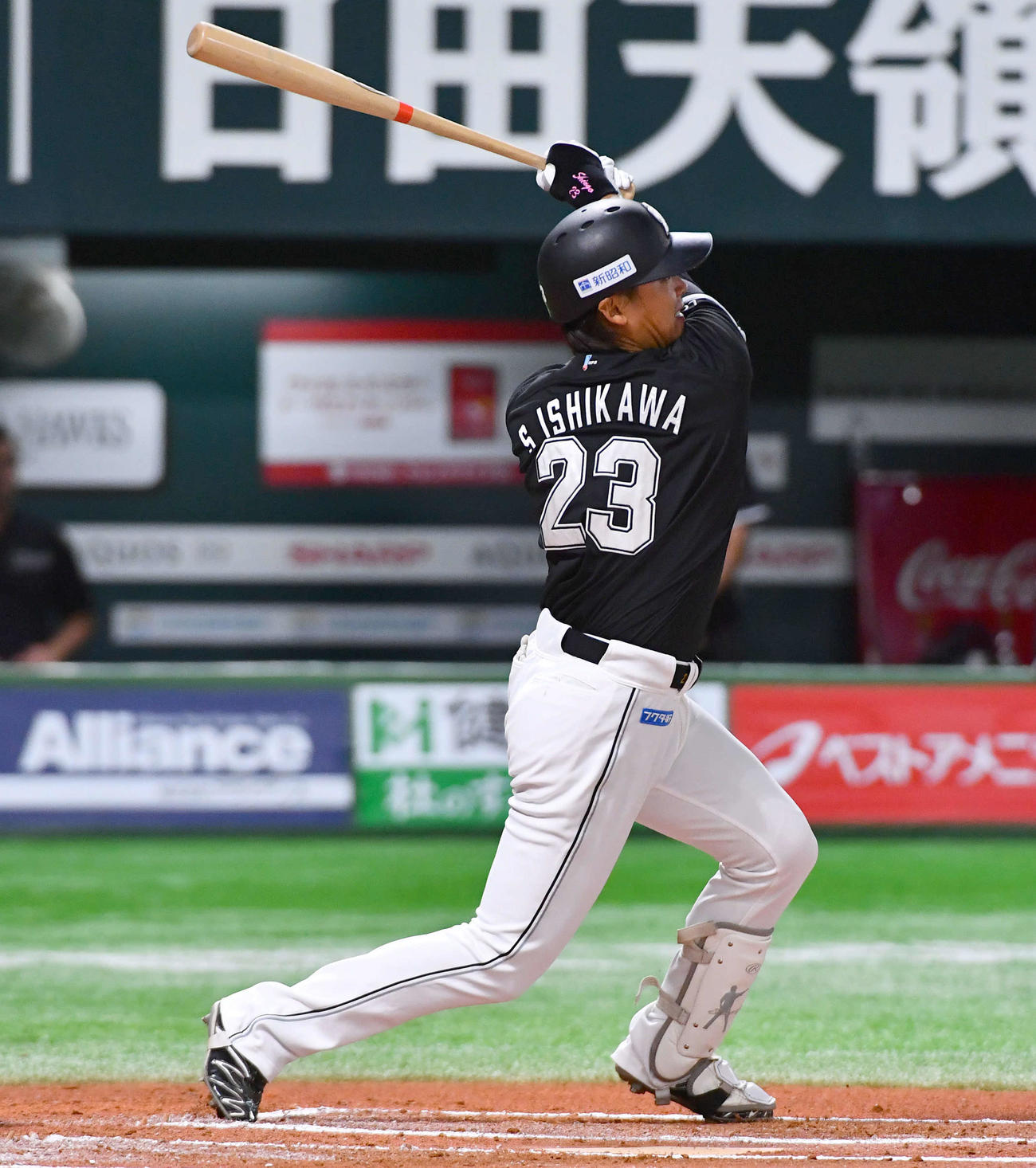 ロッテ石川慎吾(2024年7月15日撮影)