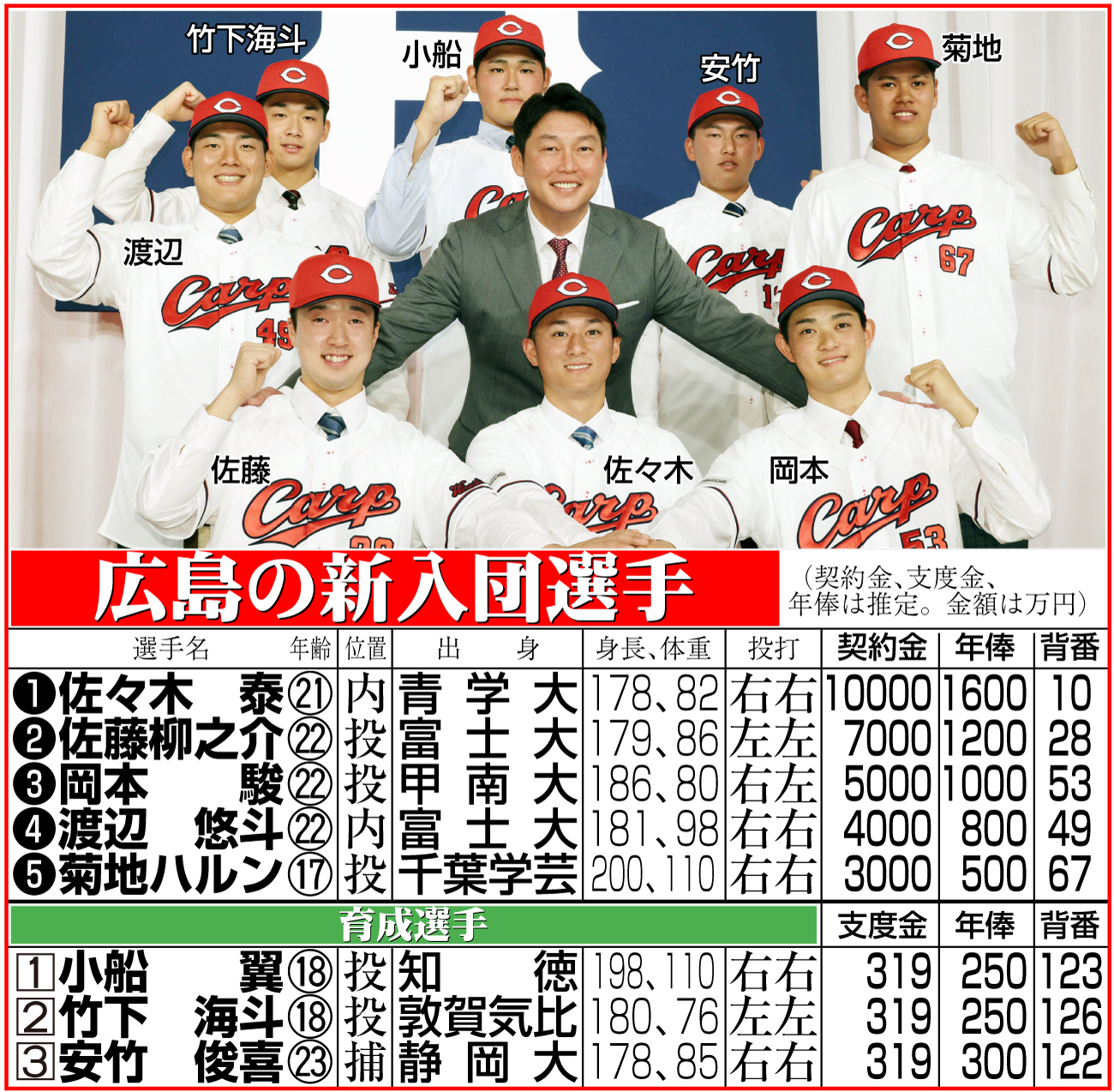 【イラスト】広島の新入団選手