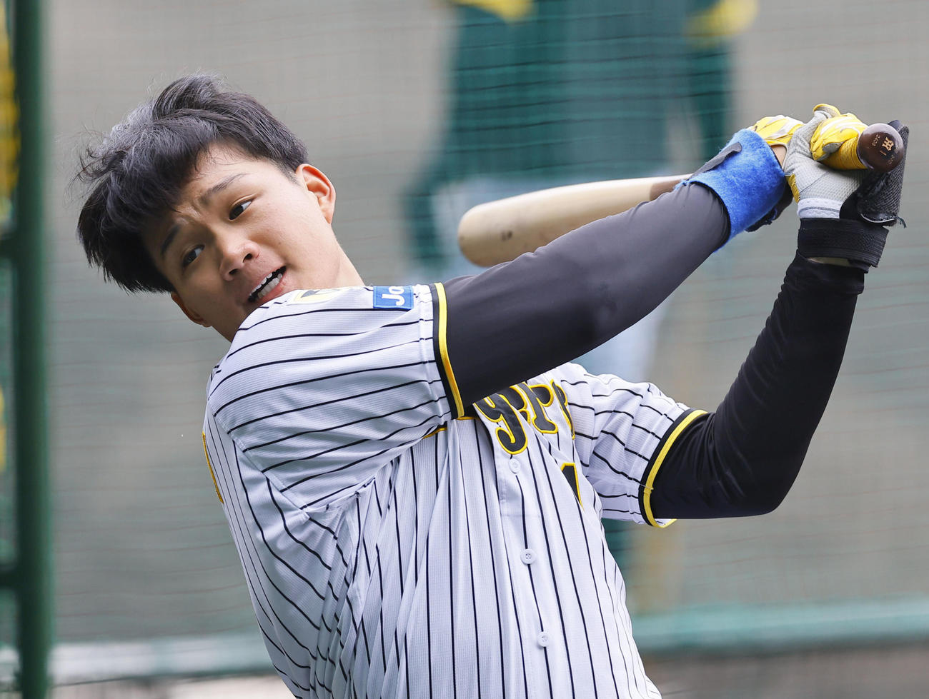 阪神森下翔太（2024年撮影）